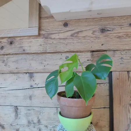 Beim Thor Klein By Interhome Brienzwiler